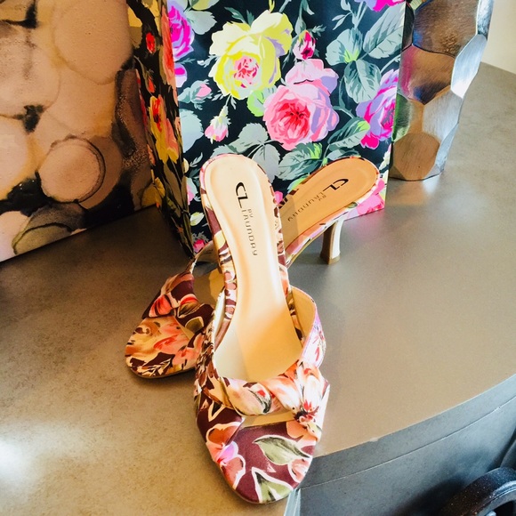 chinese laundry slides